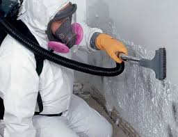  , USA Mold Prevention & Removal Pros